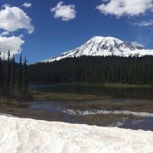 Meet your Posher, Laurie